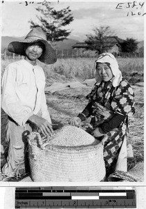 Farmers standing next to basket full of grain harvest, Japan, ca. 1937