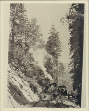 Mt. Tamalpais and Muir Woods Railway train above Fern Canyon