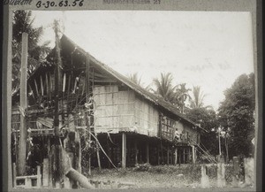 Dajak house of the upper district. In front the inevitable Sandongs. A tree trunk on which steps have been carved serves as a stairway."