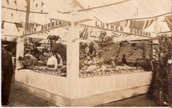 Gravenstein Apple Show, about 1910 display sponsored by Luther Burbank Experiment Farm with plates of fruit displayed on plates in large booth