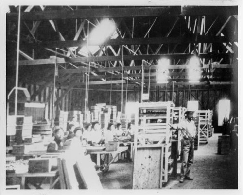 Early Japanese immigrants (Issei) working at packing shed in Florin