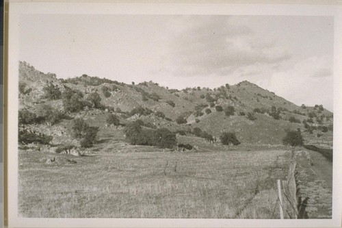 Foothill scenery east of Fresno; 1930; 6 prints