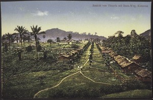A view of Victoria with the road to Buea, Cameroon