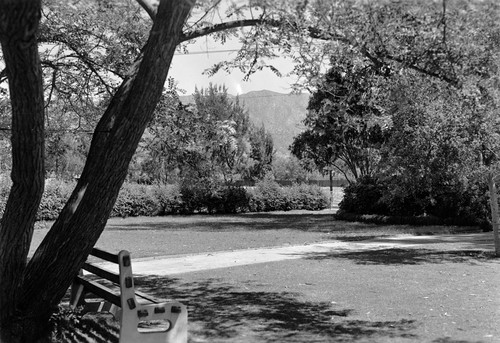 1940s - Mountain View Park