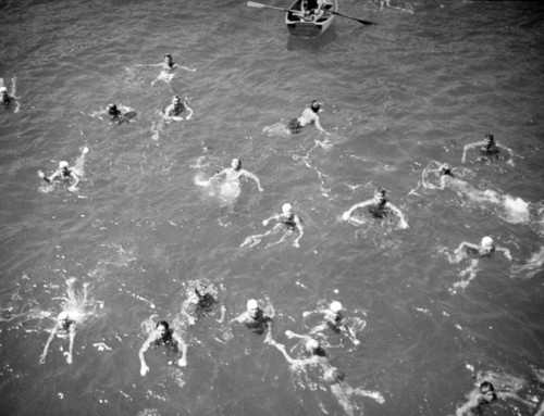 Swimmers in the Avalon Harbor