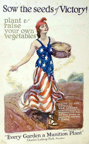 Sow the seeds of victory! Plant & raise your own vegetables / James Montgomery Flagg