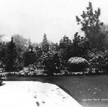 Snow in Capitol Park
