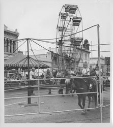 Children riding ponies at a Petaluma Boulevard carnival, Petaluma, California, 1963