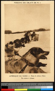Dog team pulling a sled across an icy plain, Canada, ca.1920-1940