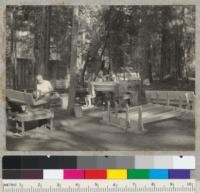 Camp Califorest. Building benches or seats for new camp fire circle. Fritz to left, Seale to right, faculty building in background. July 6, 1939. Emanuel Fritz
