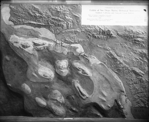 Clay model of the San Pedro Channel and Santa Barbara Channel, created as an exhibit for the Marine Biological Association of San Diego (now called Scripps Institution of Oceanography). 1910
