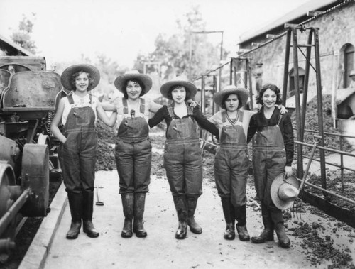 Women working in Gausti vineyard, view 7