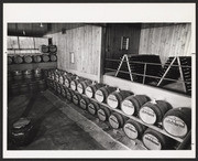 Barrels of wine in storage at Gemello Winery