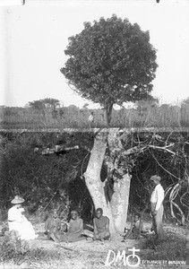 Group of people sitting under a tree, Mozambique, ca. 1896-1911