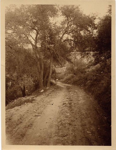 A Road Leading into the Arroyo