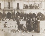 Pigeons on Plaza de Panama