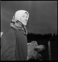 Officers. Refugee on road [Woman on road with cows]