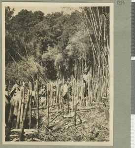 Cutting a road, Eastern province, Kenya, ca.1927