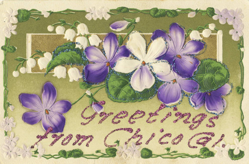 Chico Postcard
