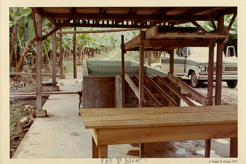 Banana Import Company, Dominican Republic, Pierce Photo 25, © 1971 Frank D. Pierce