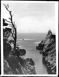 Scenic view of Cypress Point in Pacific Grove, Monterey, ca.1900