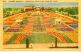 Sunken Gardens, Exposition Park, Los Angeles, CA