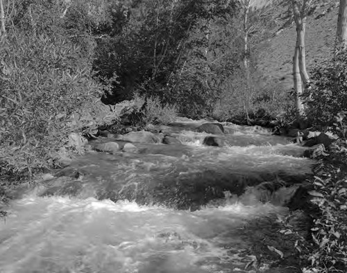 Rush Creek in the Mono area