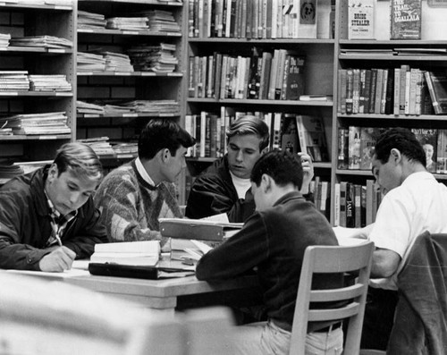 Students in a branch library