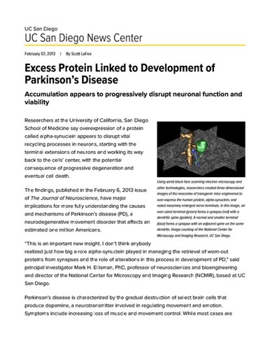 Excess Protein Linked to Development of Parkinson’s Disease