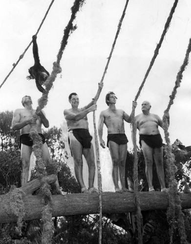 Mahoney, Weissmuller, Ely and Pierce