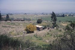 View of houses, horses and apple blossoms between Hurlbut Avenue and High School Road from top of hill next to Hurlbut Avenue , April 20, 1966