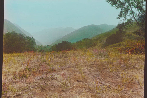 Open field in Temescal Canyon, Calif