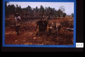 A Gambian farmer about to begin the days work
