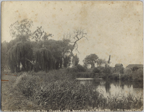 Guadalupe River Near the Lick Paper Mill, ca. 1905