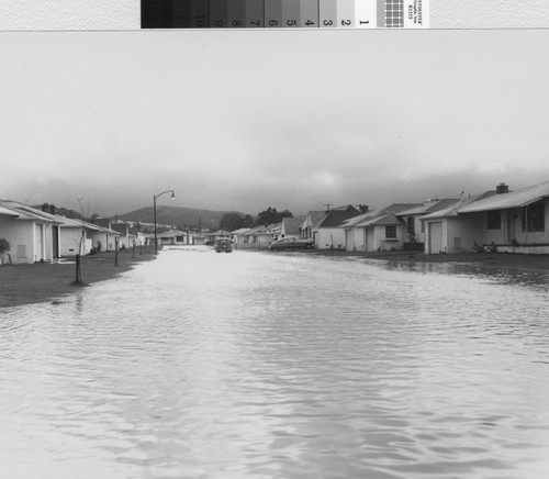 1955 San Mateo Flood