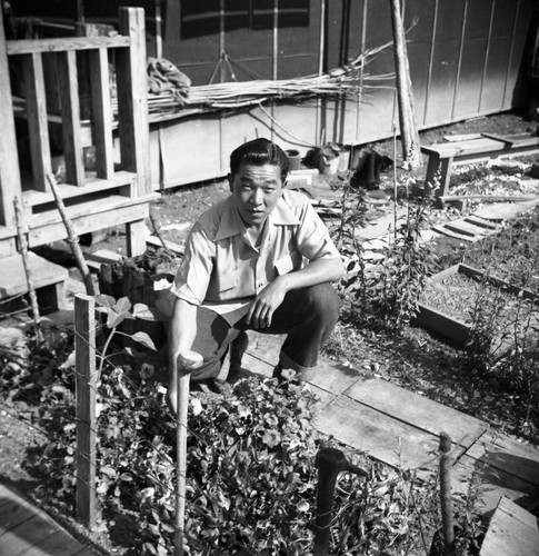 Man in victory garden at Jerome camp