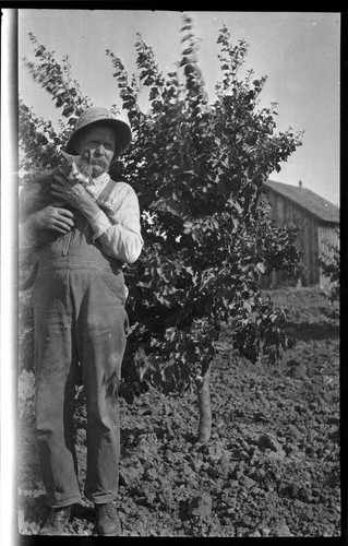 Harve Brillhart, uncle of Adelbert Bartlett, in his apricot orchard in the San Joaquin Valley, near Patterson, 1927
