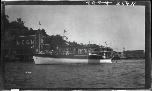 Bonnie Doon (steamcruiser yacht) at Sausalito. [negative]