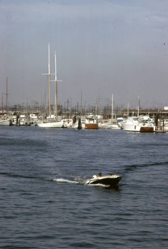 Marina, Port of Los Angeles
