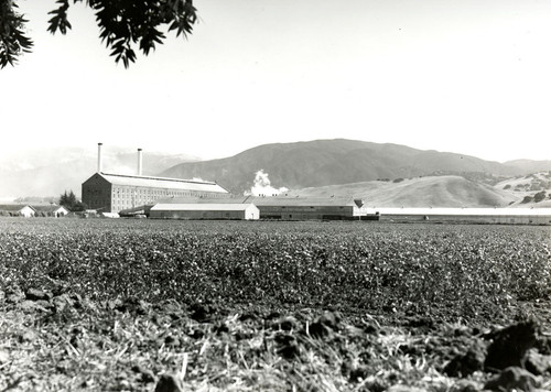 Spreckels Sugar Company refinery, Salinas, California