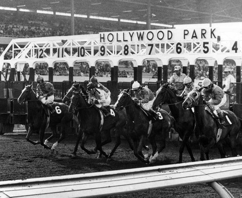 Horse racing at Hollywood Park