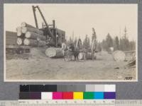 Yarding with the "Big Wheels" loading with McGiffert loader, McCloud River Lumber Company