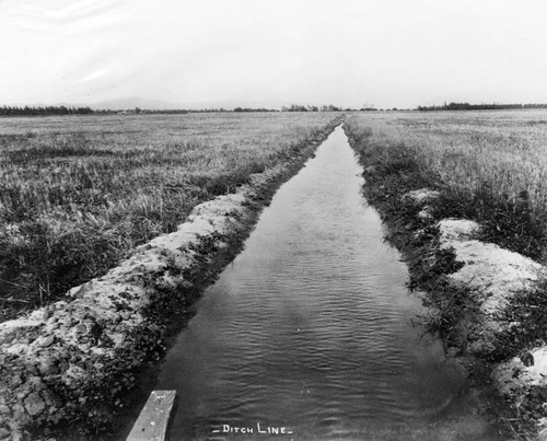Fullerton irrigation ditch