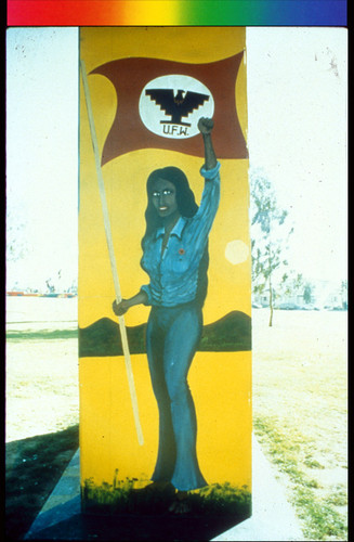 Farm Worker Woman