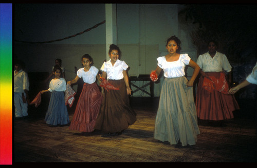 On-Going Dance Performance, Demonstration, Workshops and Education