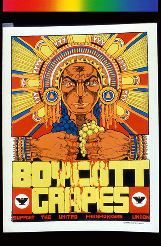 Boycott Grapes: Support the United Farmworkers Union