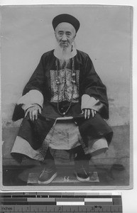 A former Viceroy of Hubei, China