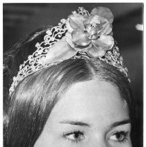 Karen Erickson, a student at Cosumnes River College, is Camelia Queen for 1972