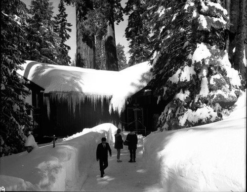 Record Heavy Snow, Record snowfall, Giant Forest. Lodge Dining Room enterance