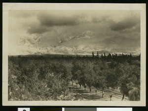 Ontario after a storm, showing snow on the mountings, ca.1900